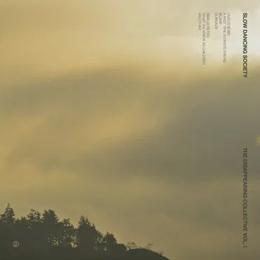 The Disappearing Collective Vol. I