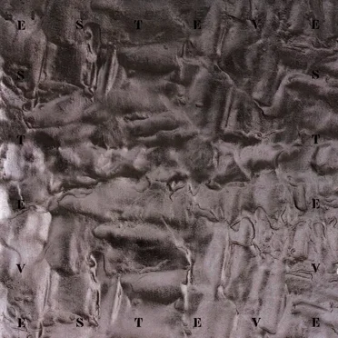 Metal by Pierre Estève - album cover