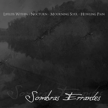 Sombras errantes