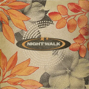 Night Walk