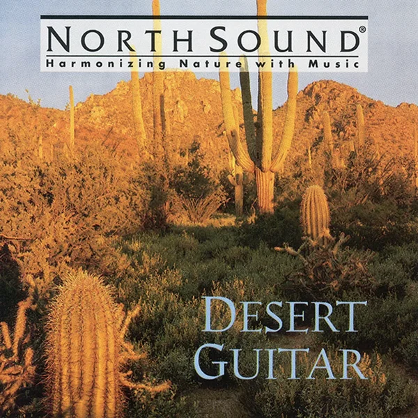 Desert Guitar