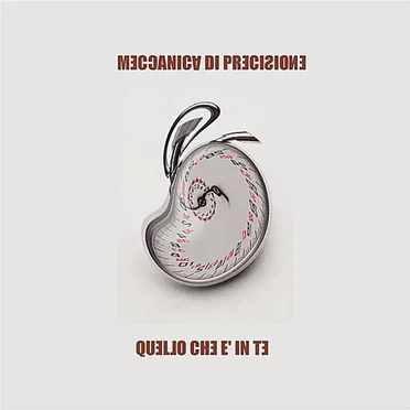 Quello che è in te by Meccanica di Precisione - album cover
