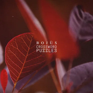 Crossword Puzzles by Bojus - album cover