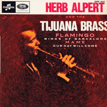 Flamingo / Winds of Barcelona / Mame / Our Day Will Come