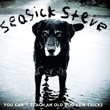You Can’t Teach an Old Dog New Tricks