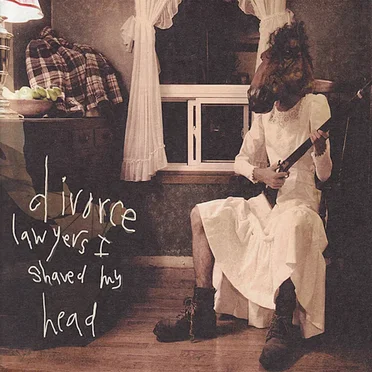 Divorce Lawyers I Shaved My Head