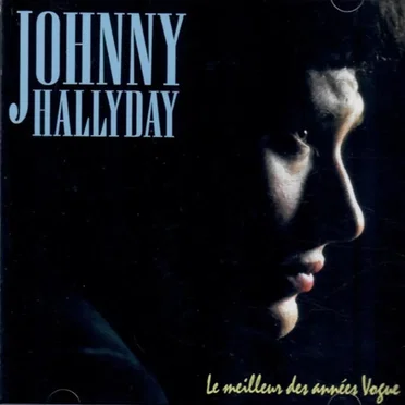 Le Meilleur des années Vogue