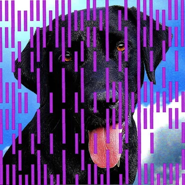 Buster