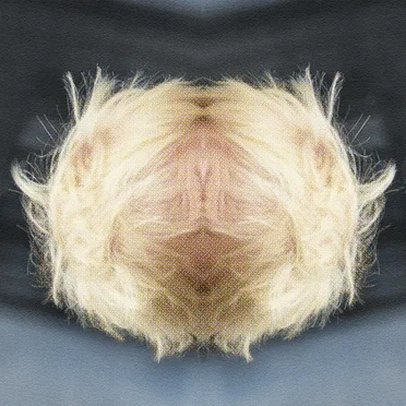 Contempt