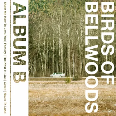 Album B by Birds of Bellwoods - album cover