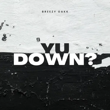 YU DOWN? by Breezy Oakk - album cover