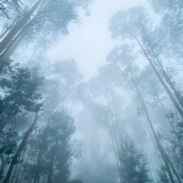 Voices of Wind, Volume 2