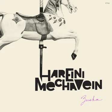 Hareini Mechavein