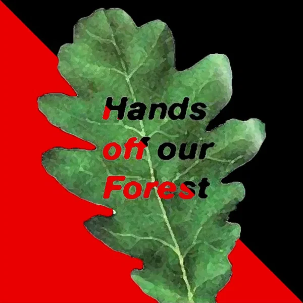 Hands Off Our Forest Fundraiser