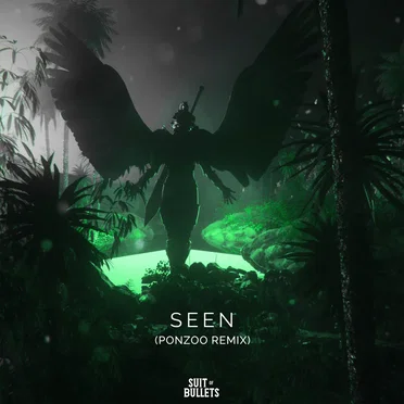 Seen (Ponzoo remix)
