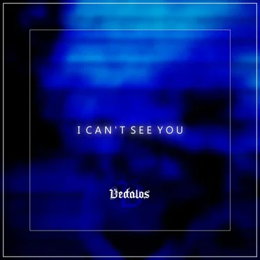 I Can't See You