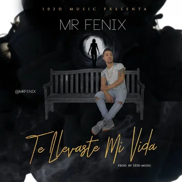 Te Llevaste Mi Vida by Mr Fenix - album cover