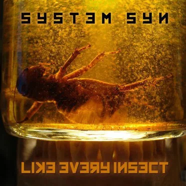 Like Every Insect by System Syn - album cover