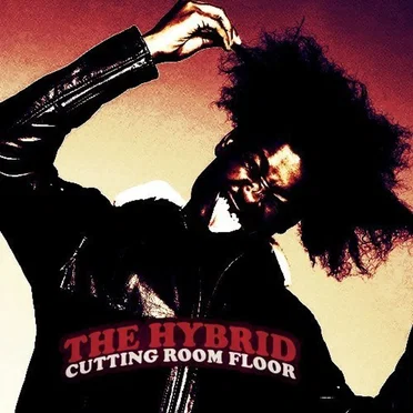 The Hybrid: Cutting Room Floor by Danny Brown - album cover