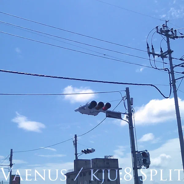 Vaenus / Kjuː8 Split