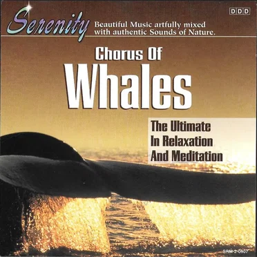 Chorus of Whales by John St. John - album cover
