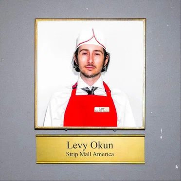 Strip Mall America by Levy Okun - album cover