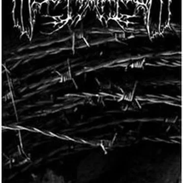 Missgediehen by Erhabenheit - album cover