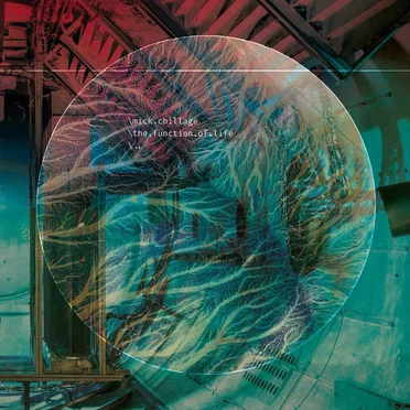 The Function of Life