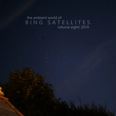 The Ambient World of Bing Satellites (Volume 08: 2019)