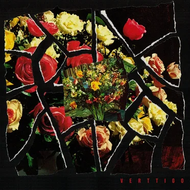 Tomorrow Is Gone by VERTTIGO - album cover