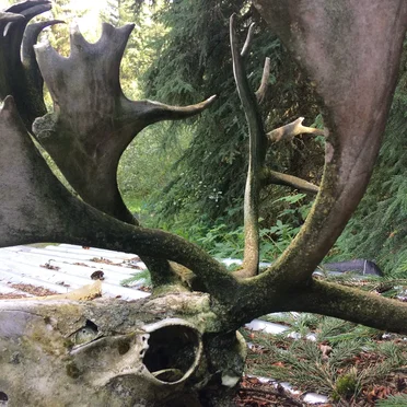 Graveyard
