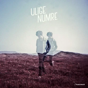 Ulige Numre