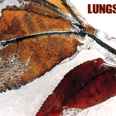 Lungs by Lungs - album cover