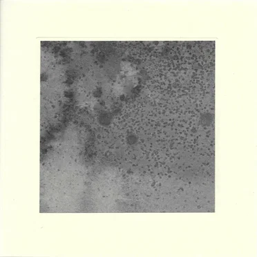 In Faxfleet Clouds Uplifted Autumn Gave Passage to Kind Nature