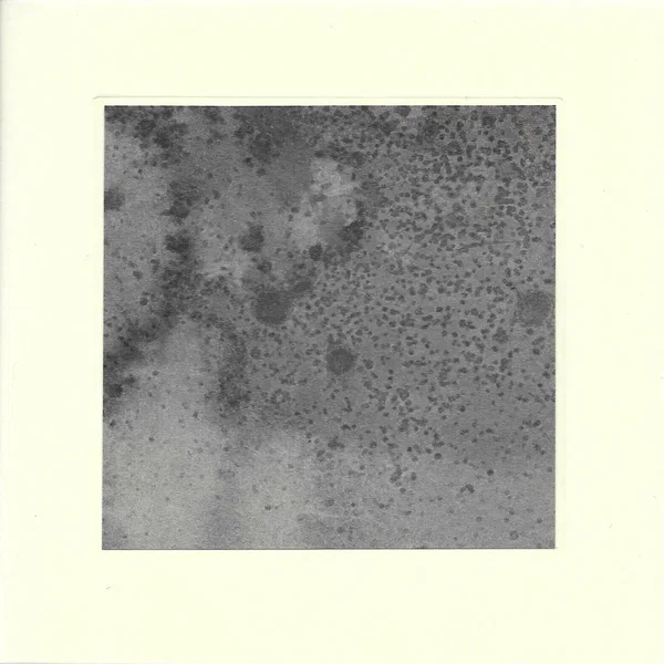 In Faxfleet Clouds Uplifted Autumn Gave Passage to Kind Nature