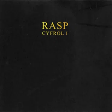 Rasp – Cyfrol 1 by Various Artists - album cover