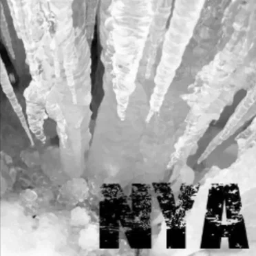Not You Again by N.Y.A. - album cover