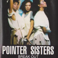 The Pointer Sisters artist image