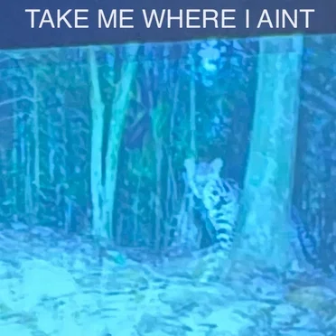 Take Me Where I Ain't by Scott McMicken and THE EVER-EXPANDING - album cover