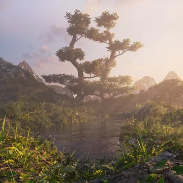 Daylight in the Swamp