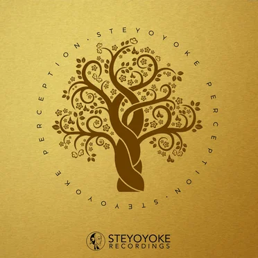 Steyoyoke Perception, Vol. 04 by Various Artists - album cover