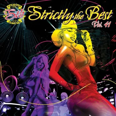 Strictly the Best, Vol. 41 by Various Artists - album cover