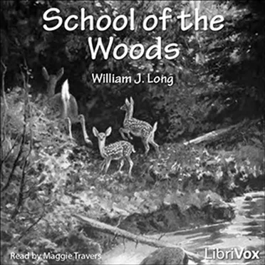 School of the Woods by William J. Long - album cover