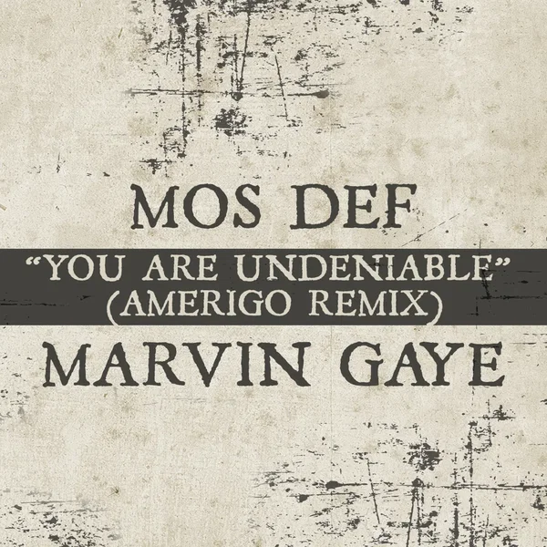 You Are Undeniable (Amerigo remix)