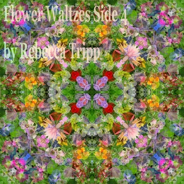 Flower Waltzes (Side 4) by Rebecca Tripp - album cover