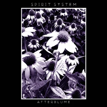 Afterblume