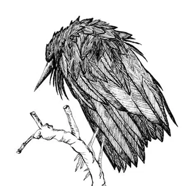 Little Sparrow by Spiral Joy Band - album cover