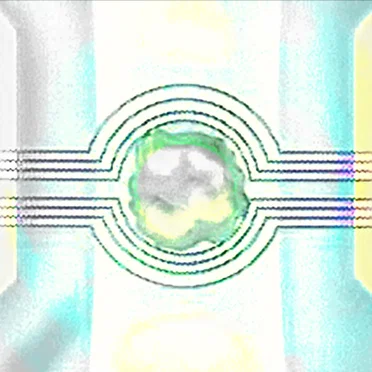 TRANS009