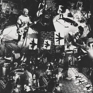 Thank You for the Mess by Tripping Corpse - album cover