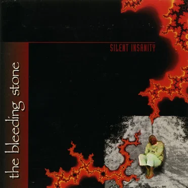 Silent Insanity by The Bleeding Stone - album cover